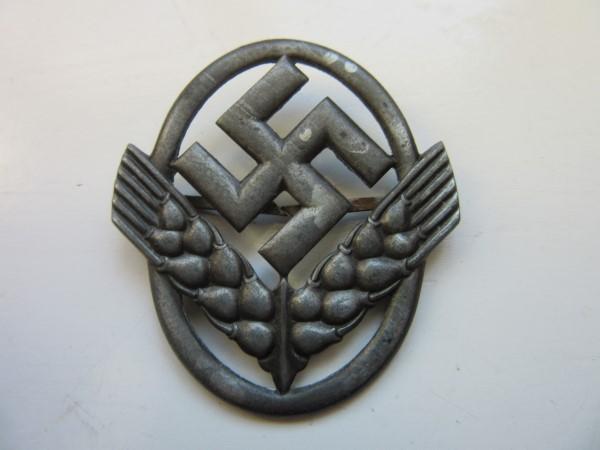 RAD Womens Cap Badge